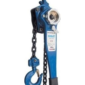 Echolift Hubzug 6 Ton 1.5 M